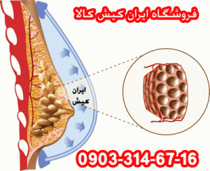 بزرگ کردن سینه ها با روش طب سنتی