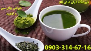 خواص چای سبز و لاغری